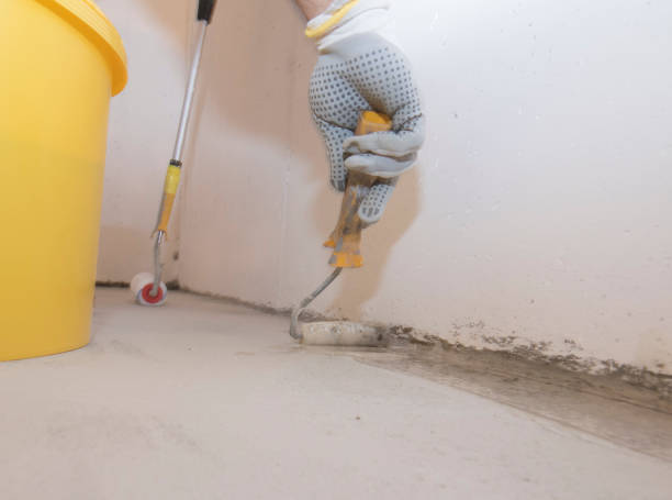 Professional Pest control in Iyanbito, NM